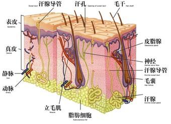 53a101ee901ab43628.jpg